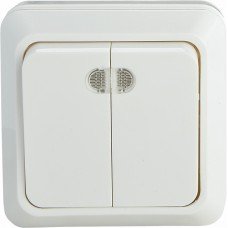 Вимикач 2-кл. з підсвічуванням BЗ10-2-1-Ct-W (білий)